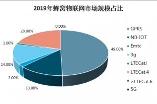 2021-2027年中国蜂窝物联网市场调查与发展前景报告