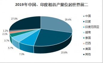 2021-2027年中国稻谷及其种业市场全景调查与市场分析预测报告